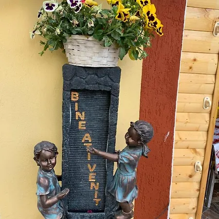 Jaktstuga Casa Nita Corbu (Constanta)