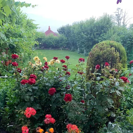 Cabană Casa Nita