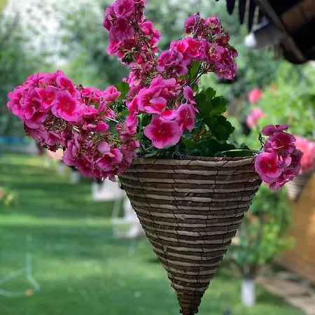 Casa Nita * קורבו