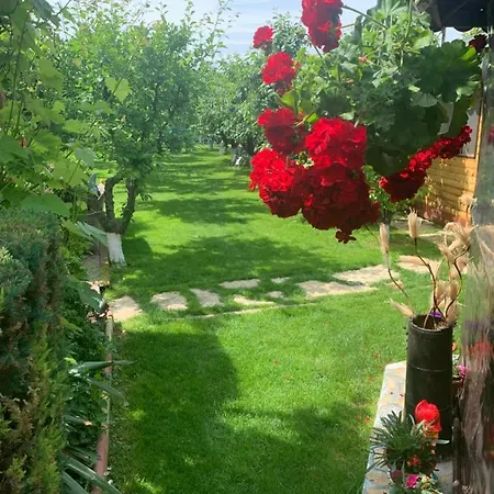Cabană Casa Nita *